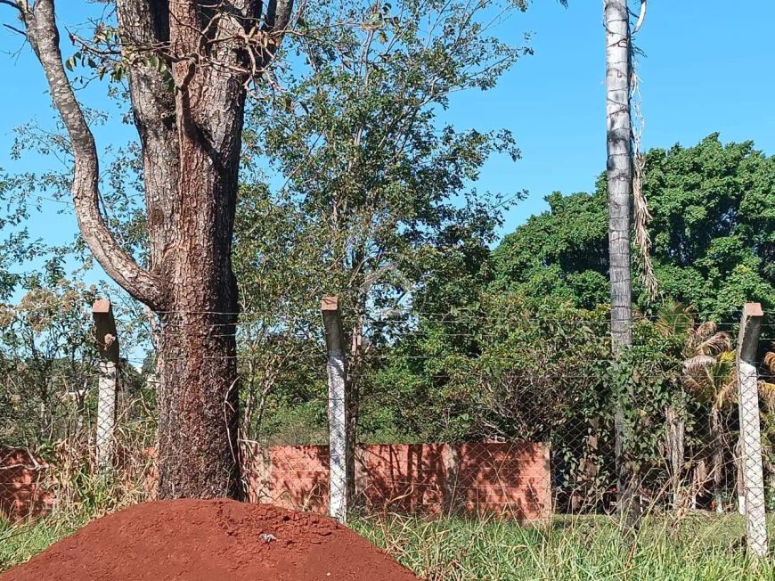 TERRENO GRANDE E PLANO