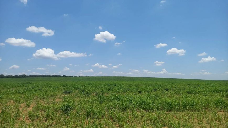 🌾 FAZENDA A VENDA com 170 HA