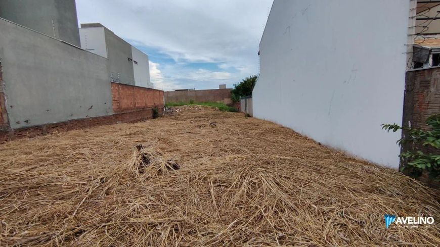 Terreno no Polonês