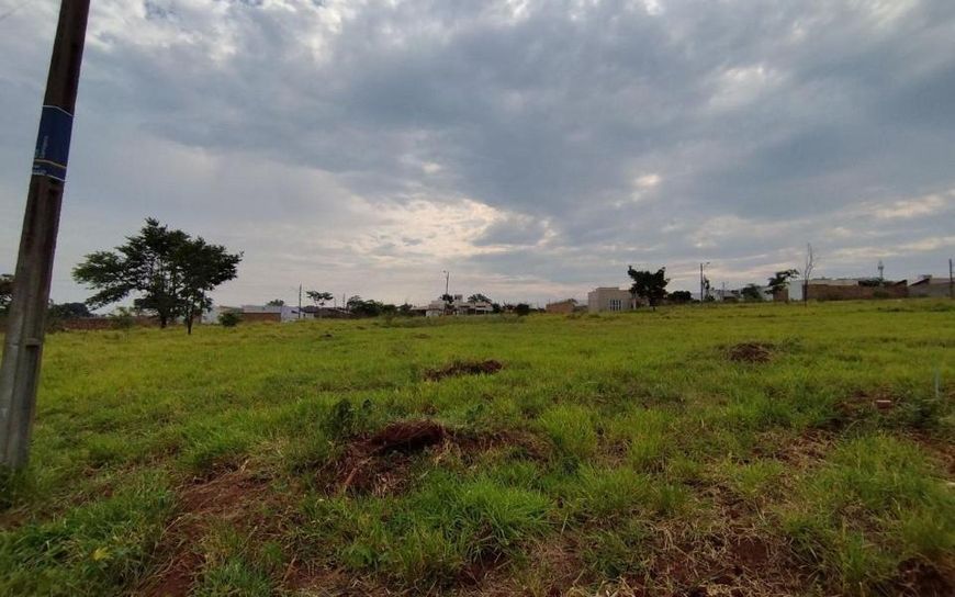 Campo Grande - Terreno Padrão - North Park