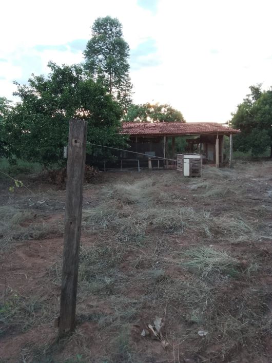 Imóvel para venda com 55000 metros quadrados com 3 quartos