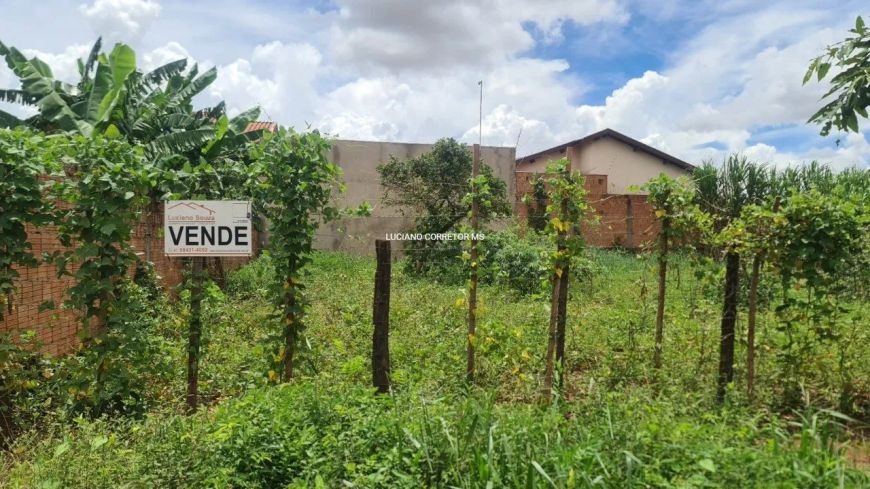Bem localizado, terreno plano!