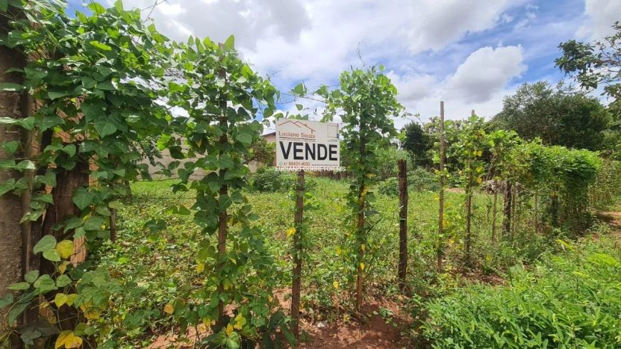 Bem localizado, terreno plano!