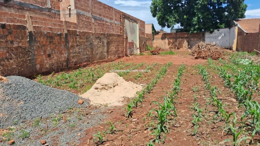 Terreno Espaçoso no Monte Castelo