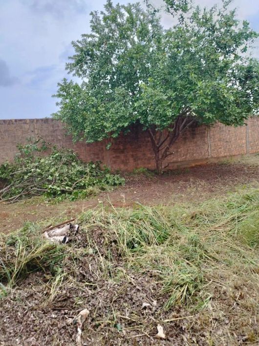 Terreno próximo ao Bosque da Paz