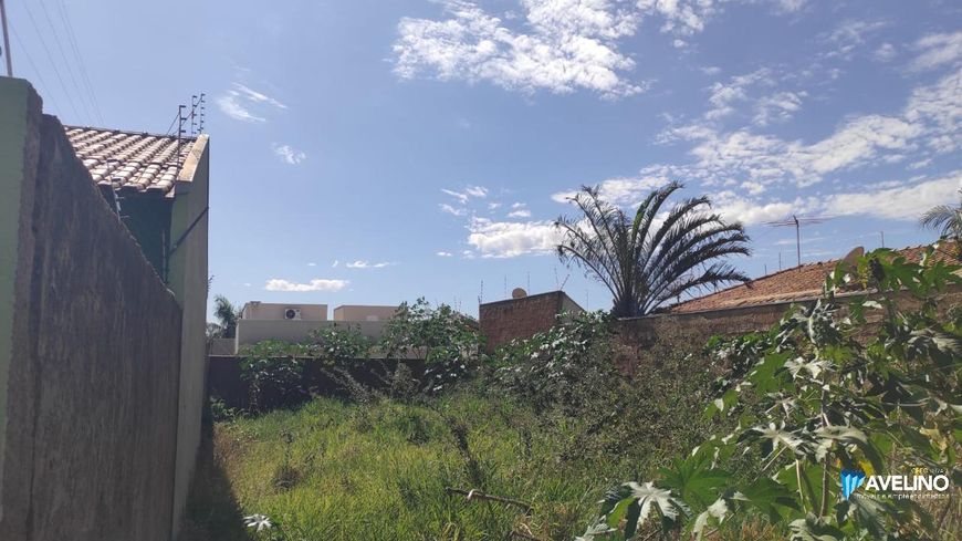 Lote com boa localização