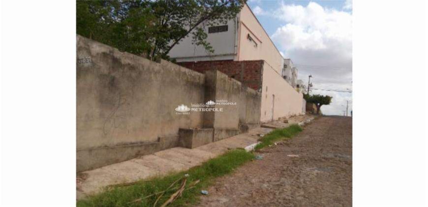 R. ALFREDO FERREIRA - BAIRRO: ILHOTAS