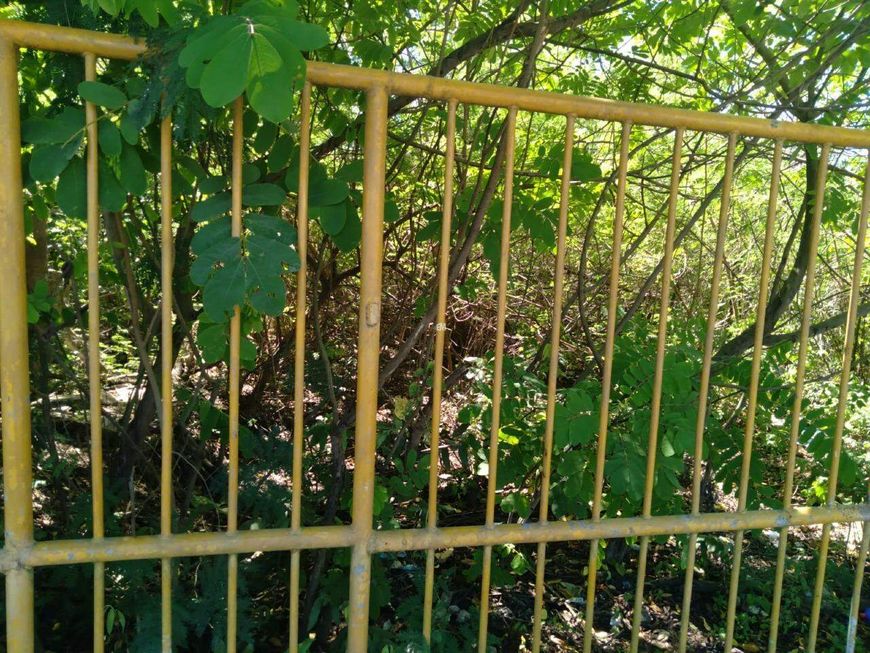 Lote para aluguel, Três Andares - Teresina/PI
