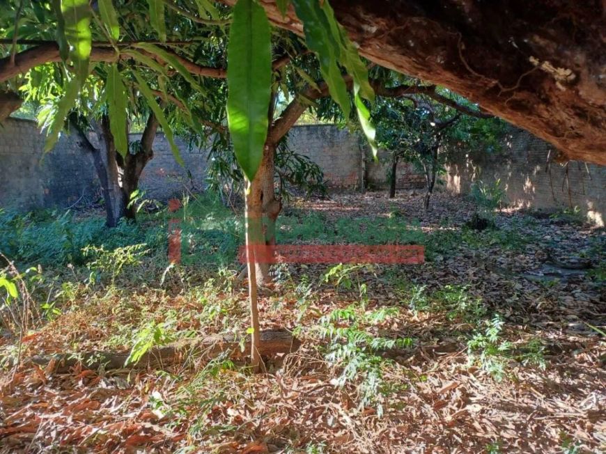 Terreno para alugar com 151,91 metros quadrados no SANTA ISABEL - Teresina - Piauí