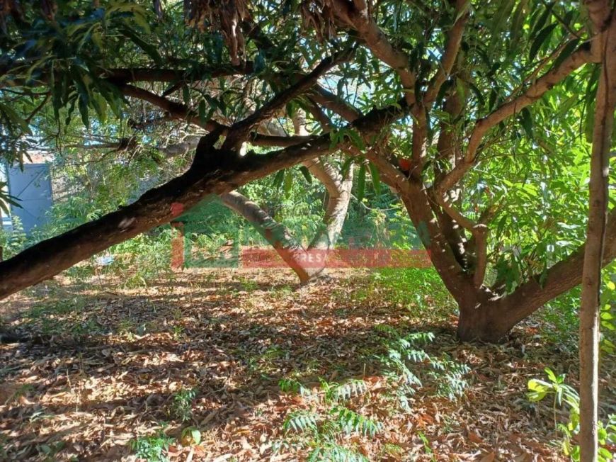 Terreno para alugar com 151,91 metros quadrados no SANTA ISABEL - Teresina - Piauí