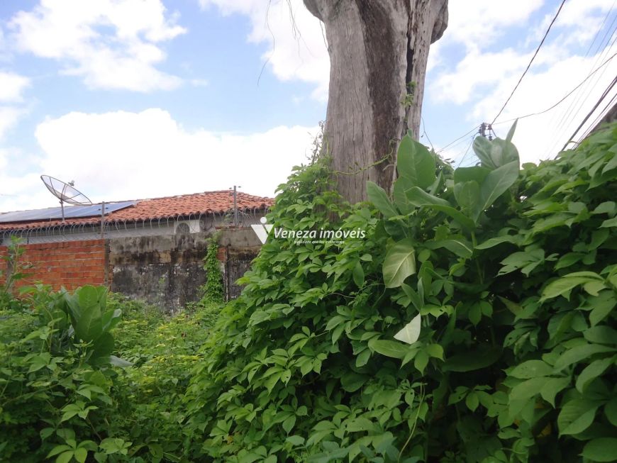 Terreno Comercial Rua Olavo Bilac para aluguel