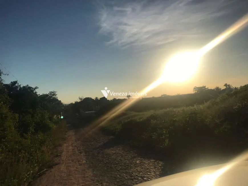 Terreno 01 hectare no Bairro Morros para locação
