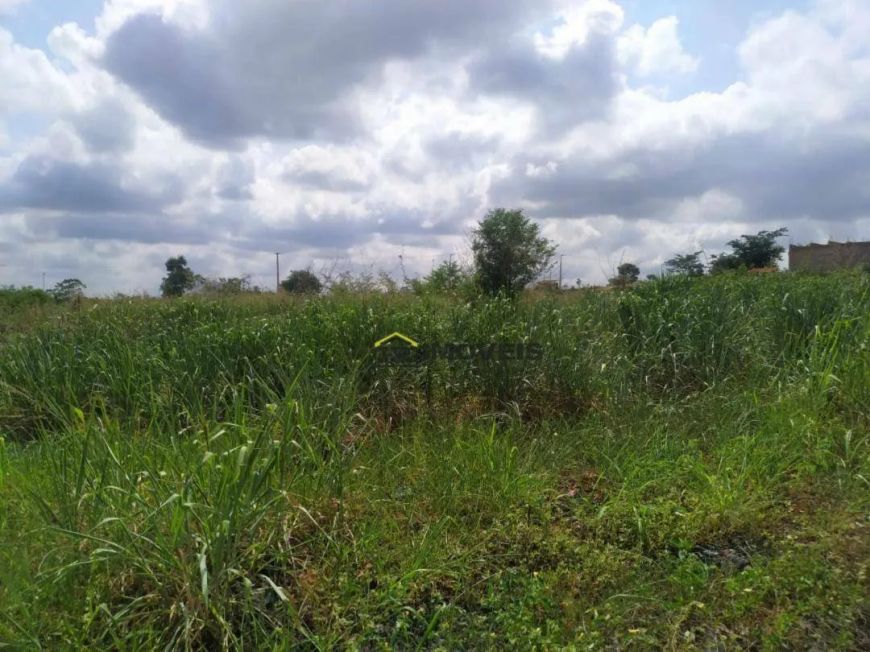 Terreno disponível para locação - Vale do Gavião