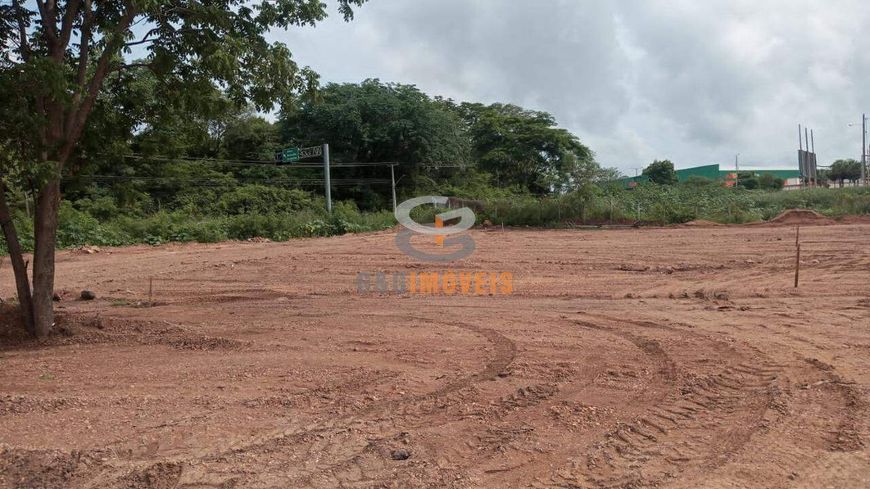 EXCELENTE TERRENO NA BR 343