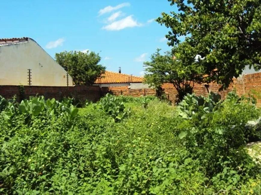 Terreno para alugar com 150,00 metros quadrados no HORTO - Teresina - Piauí