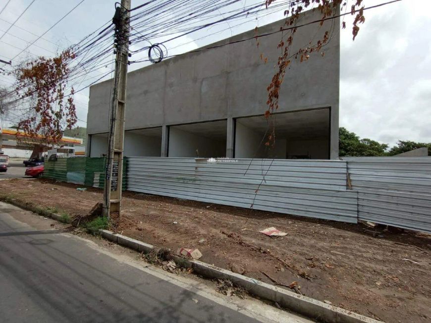 AV. ZEQUINHA FREIRE - BAIRRO: URUGUAI