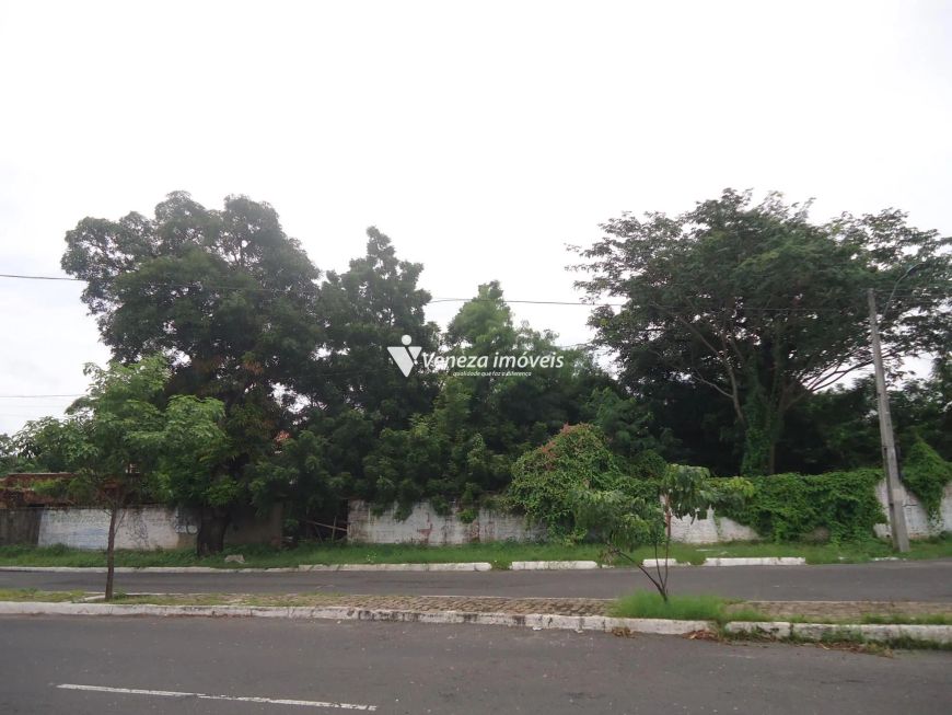 Terreno comercial na Av. Dom Severino para aluguel