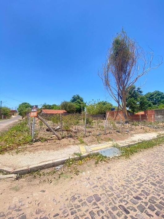 Lote para aluguel, Pedra Mole - Teresina/PI
