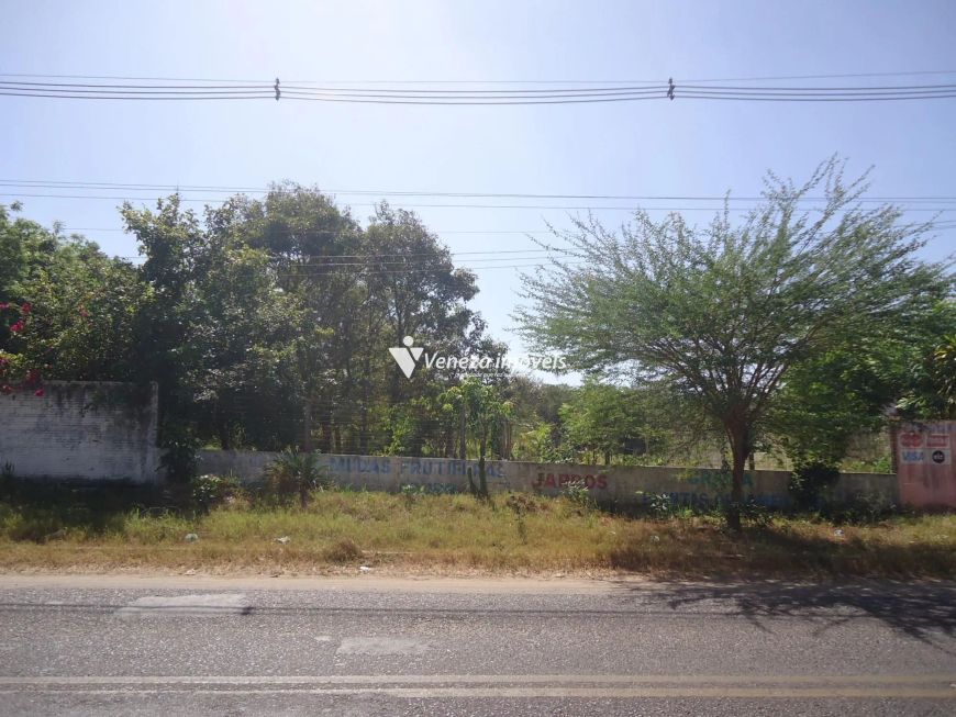Terreno Comercial Bairro Todos os Santos para aluguel
