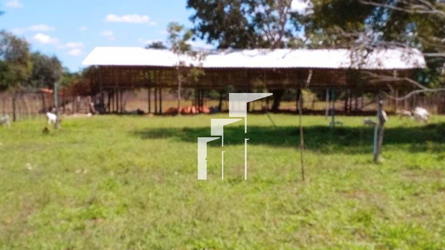 Fazenda com 4 dormitórios à venda, 750000 m² por R$ 3.000.000,00 - Zona Rural - Teresina/PI