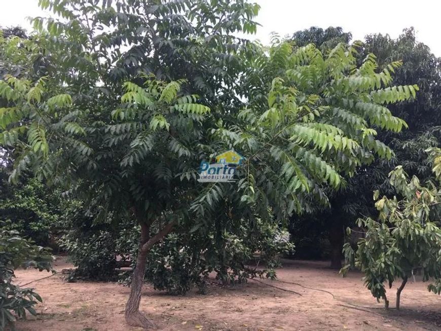 Sítio para Venda Uruguai, Teresina