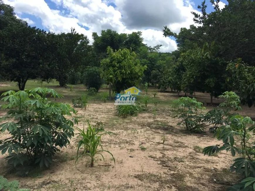 Sítio para Venda Uruguai, Teresina