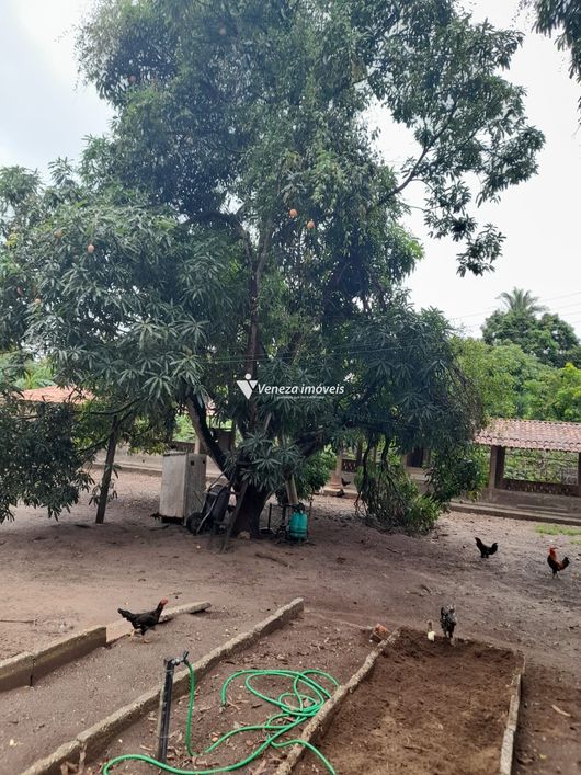 Terreno no Bairro Porto do Centro a Venda