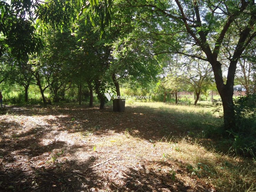 Terreno Comercial Bairro Todos os Santos para aluguel