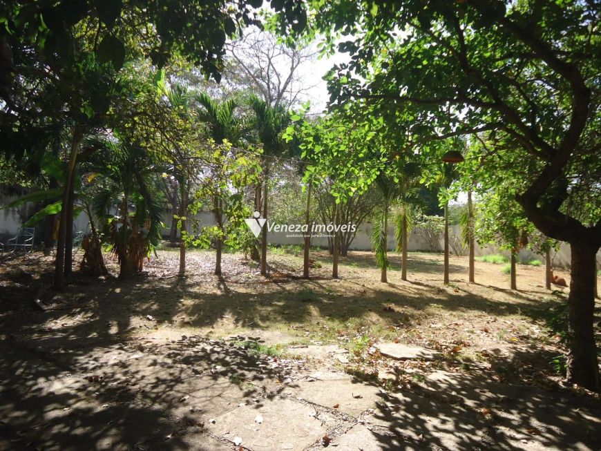 Terreno Comercial Bairro Todos os Santos para aluguel