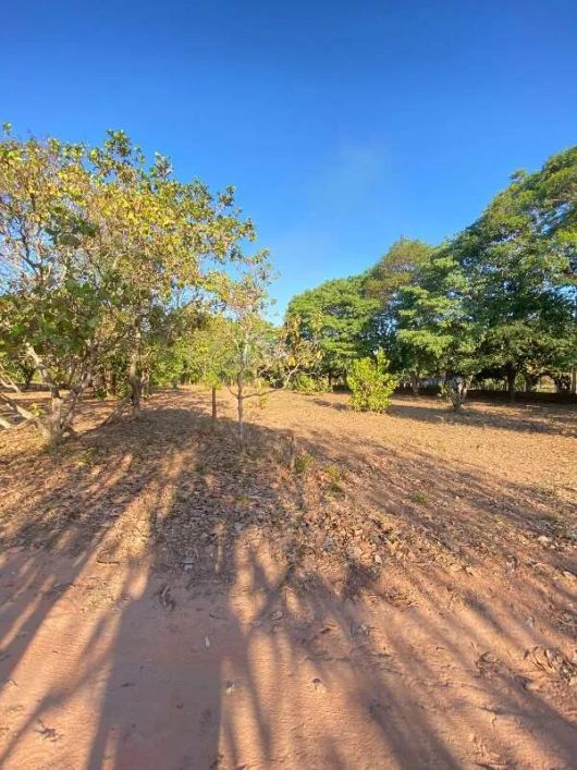 Sítio à venda, 3 quartos, 3 suítes, Santa Teresa - Teresina/PI