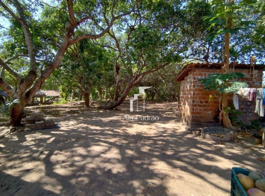 Sítio com 2 dormitórios à venda, 60000 m² por R$ 800.000,00 - Santa Maria da Codipe - Teresina/PI