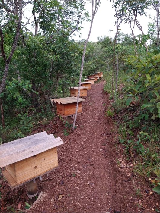 Chacara Com 26 Hectares no Núcleo Rural Capão Da Onça Paranoá - DF
