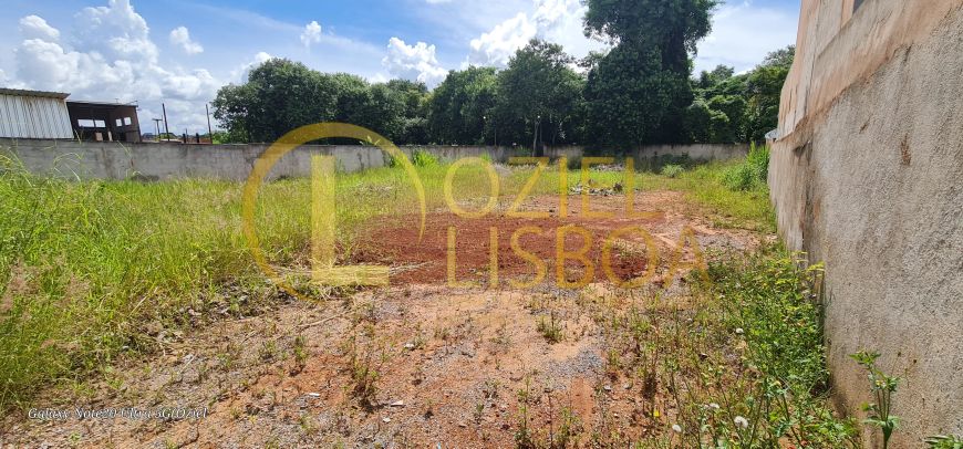 LOTE 800m COM 19m DE FRENTE PODE DIVIDIR 100% PLANO MURADO C/ PORTÃO CONDOMÍNIO RUA 3 VICENTE PIRES