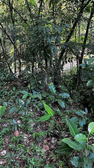 Terreno para Venda em Nova Iguaçu, Tinguá