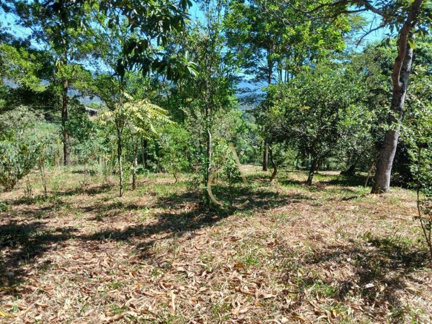 TERRENO PARA VENDA - TINGUÁ - NOVA IGUAÇU