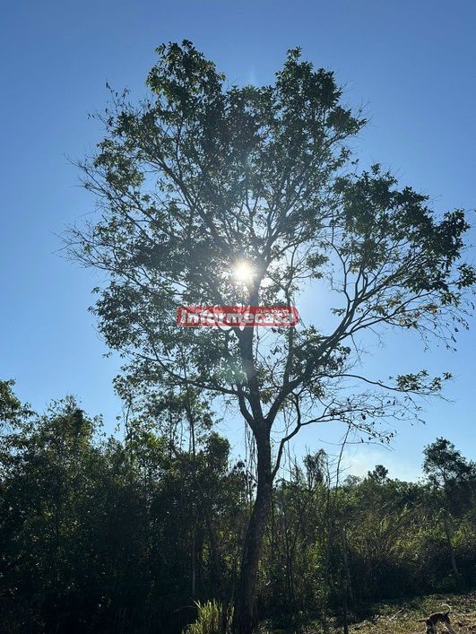 TERRENO COM DUAS FRENTES, COM 6 MIL M² SENDO 20 DE FRENTE POR 300M DE COMPRIMENTO. EXCELENTE PARA LO