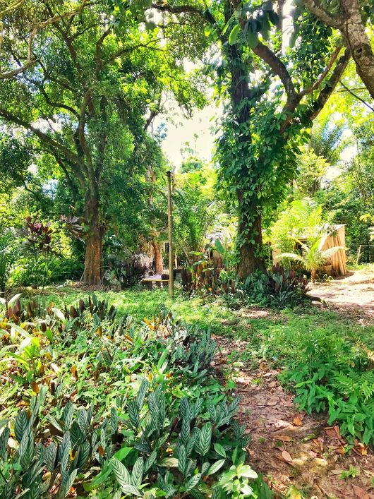Fazenda/Sítio/Chácara para venda com 24.975m² em Xerém/Tinguá - RJ