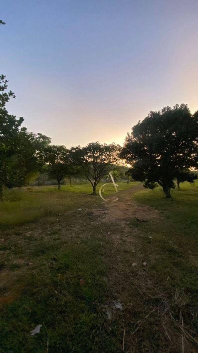 SÍTIO PRA VENDA - TINGUÁ - NOVA IGUAÇU