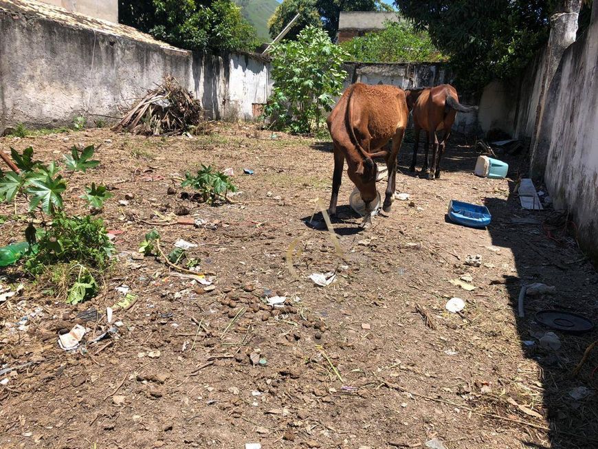 TERRENO À VENDA - BAIRRO DA LUZ - NOVA IGUAÇU