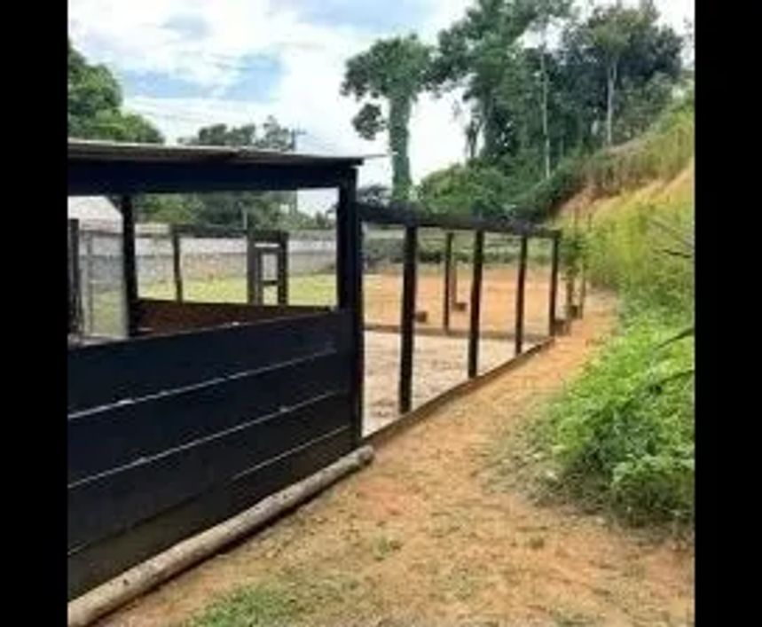 Fazenda/Sítio/Chácara para venda possui 61000 metros quadrados com 4 quartos
