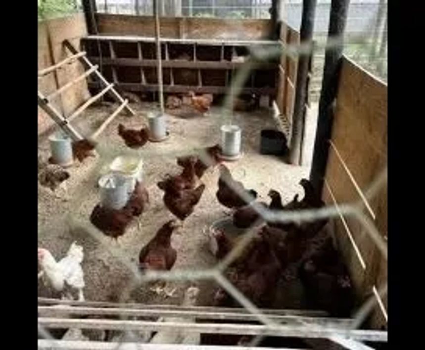 Fazenda/Sítio/Chácara para venda possui 61000 metros quadrados com 4 quartos