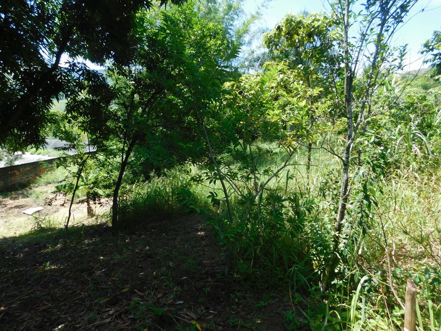 Lote/Terreno para venda possui 2113 metros quadrados em Cabuçu - Nova Iguaçu - RJ