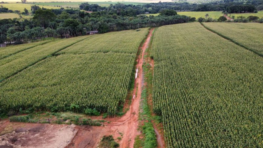 Excelente Chácara de 17 Hectares no Núcleo Rural Taquara, Planaltina-DF