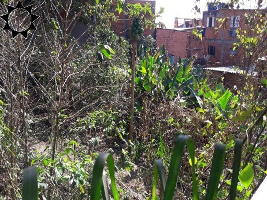 TERRENO - SANTA MARIA