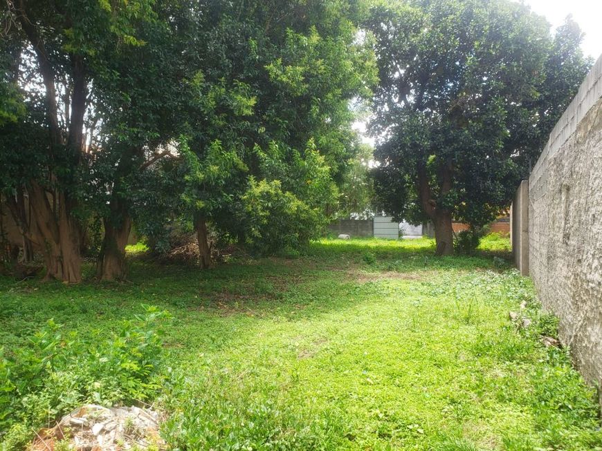 Terreno plano com 1000 metros em Presidente Altino