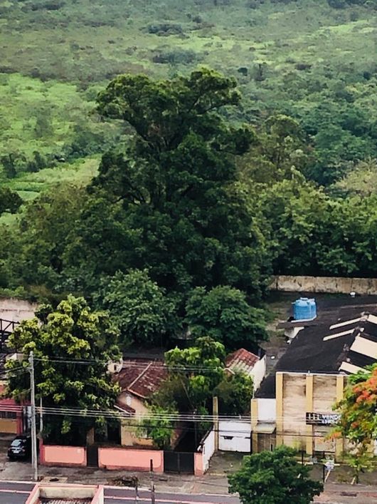 Terreno à venda Centro - São José dos Campos - SP