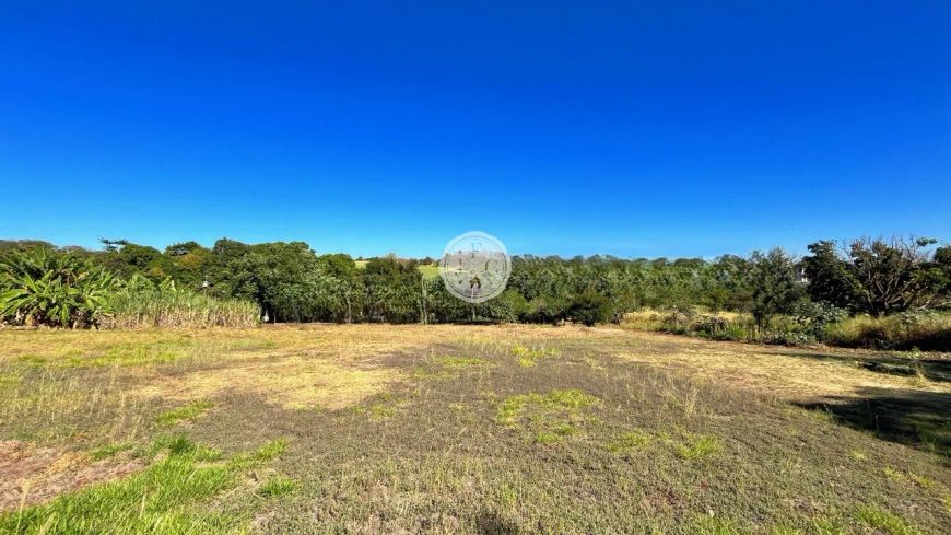 Área - 55.000 m² - Venda - Rodovia Anhanguera - Ribeirão Preto - SP