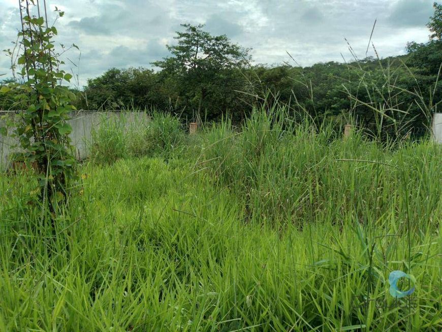 Terreno à venda, 553 m² por R$ 839.900,00 - Alphaville - Ribeirão Preto/SP