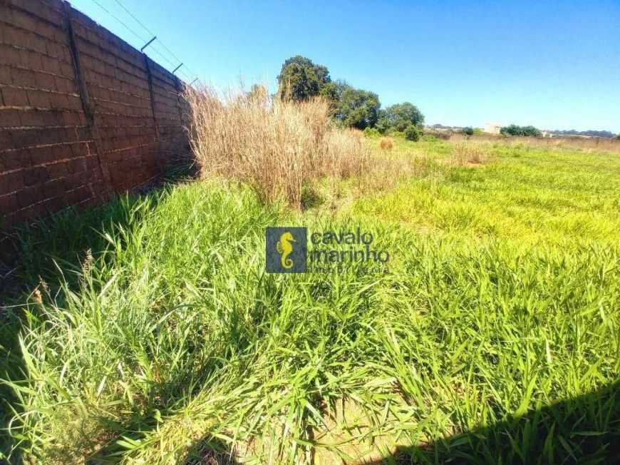 Área à venda, 6640 m² por R$ 3.500.000 - Ipiranga - Ribeirão Preto/SP
