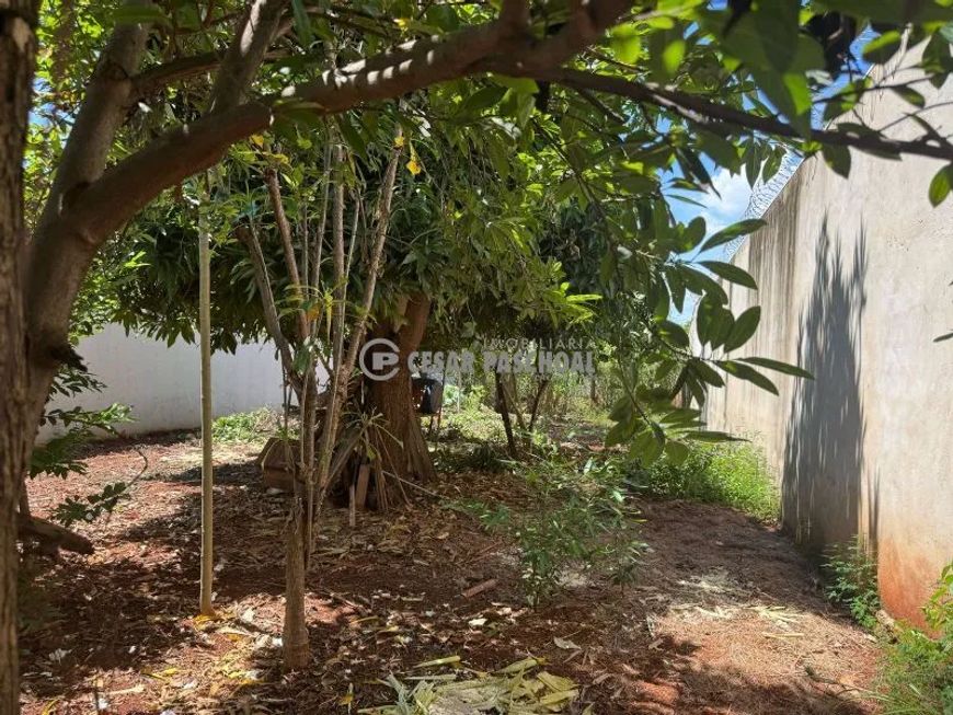 Terreno Normal Jardim Parque das Figueiras EXCELENTE OPORTUNIDADE PARA CONSTRUIR EM UM BAIRRO ESTRU.